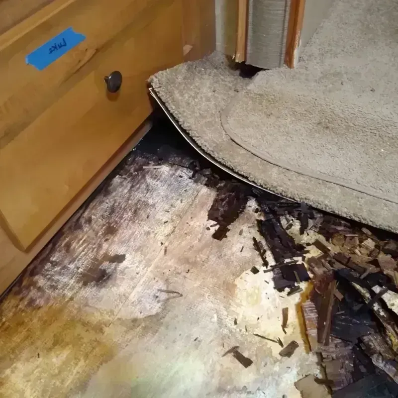 Wood Floor Water Damage in East Hanover, NJ